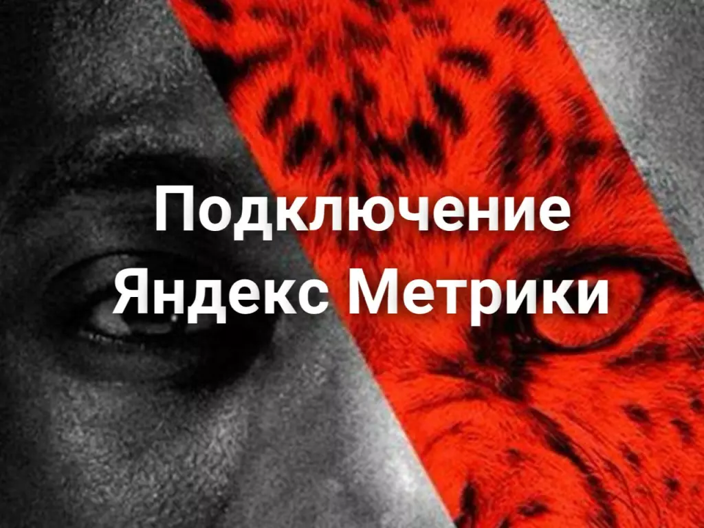 Подключение Яндекс Метрики