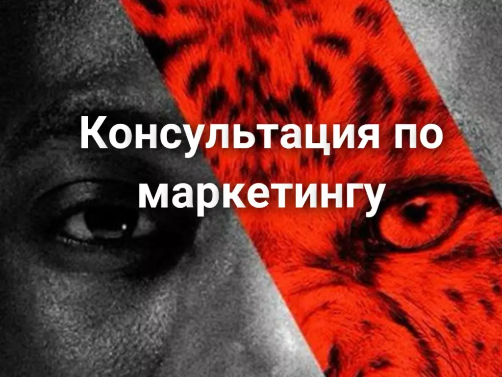 Консультация по маркетингу