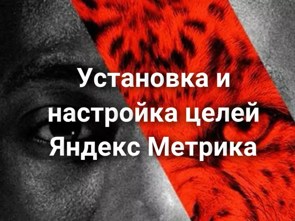 Установка и настройка целей Яндекс Метрика