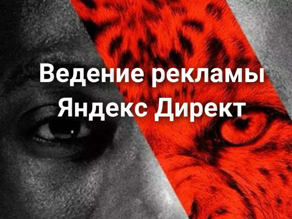 Ведение рекламы Яндекс Директ