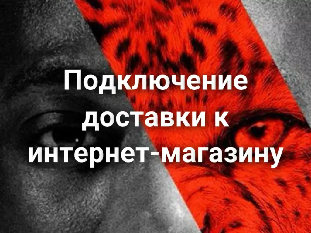 Подключение служб доставки к интернет-магазину