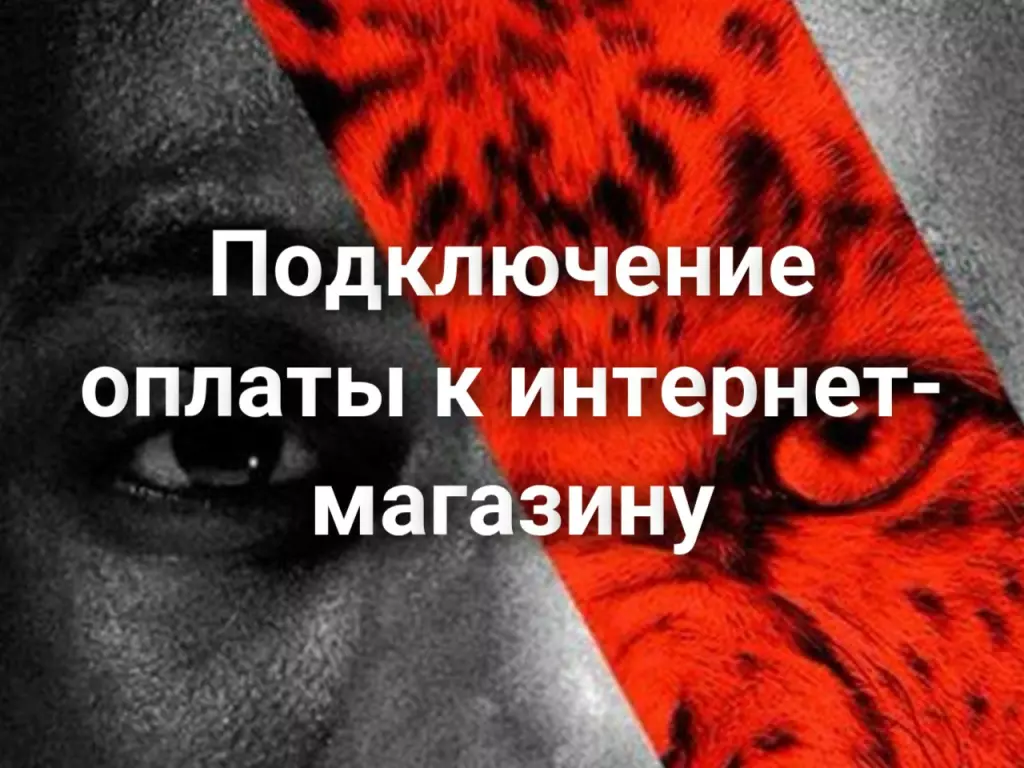 Подключение платежных систем к интернет-магазину