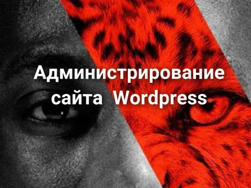 Администрирование сайта Wordpress