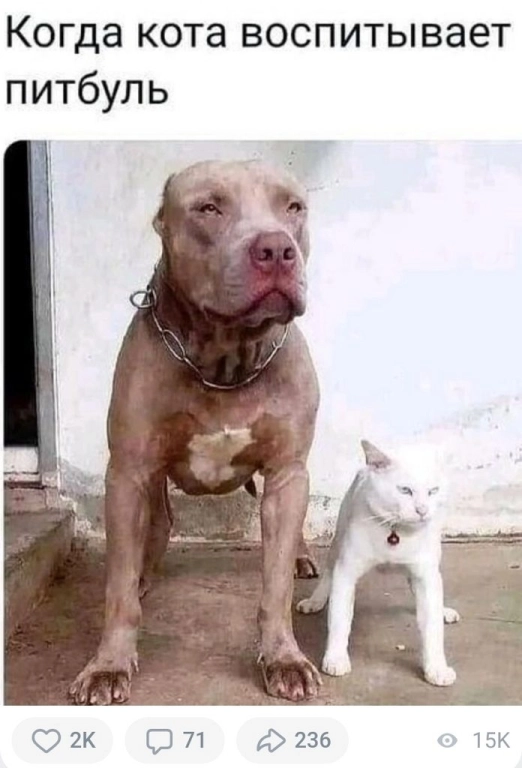 Проведу тест программы, сайта