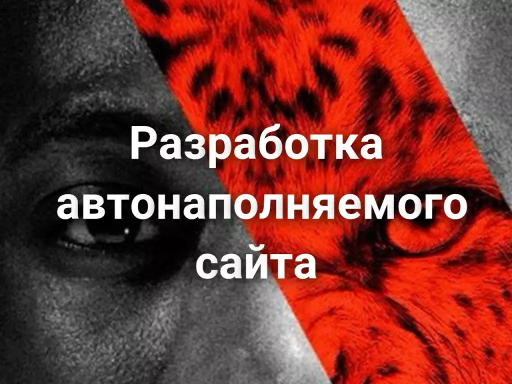 Разработка автонаполняемого сайта