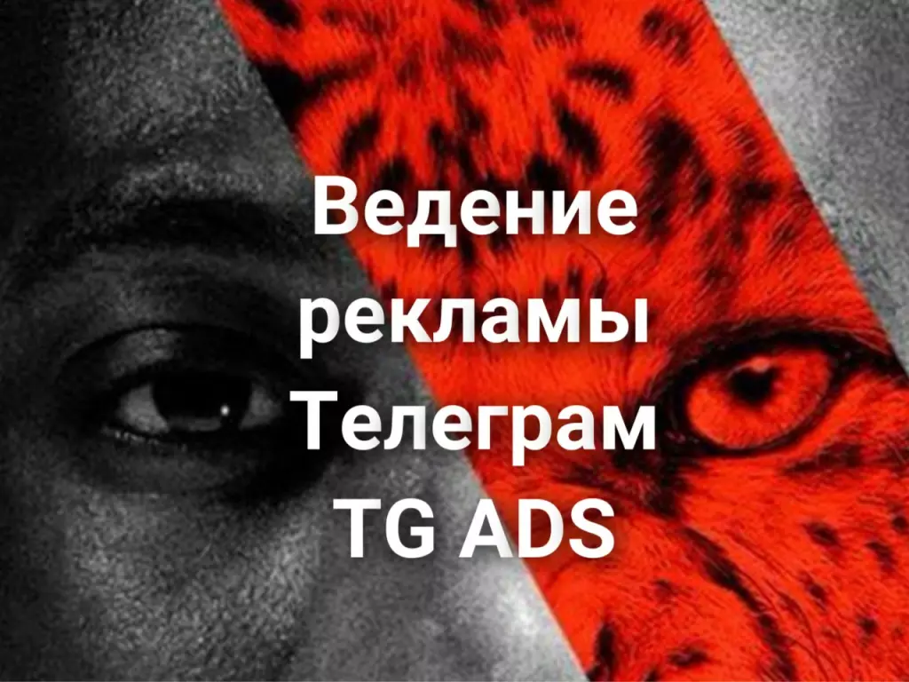 Ведение рекламы Телеграм TG ADS