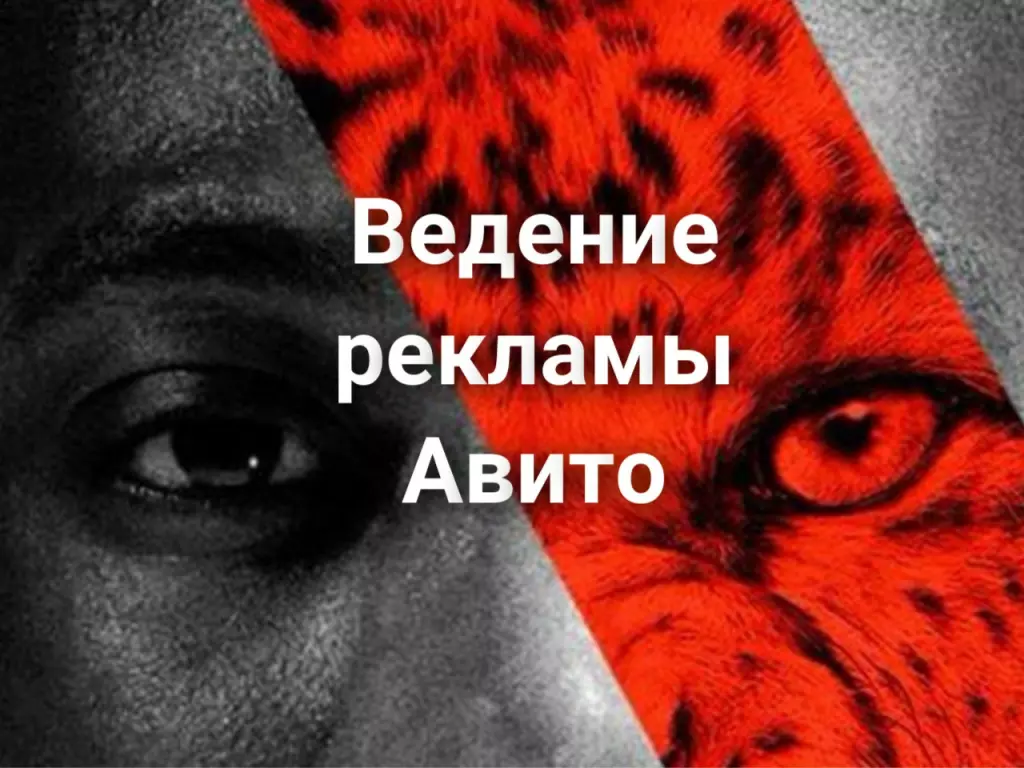 Ведение рекламы Авито