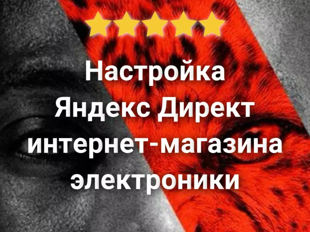 Настройка Яндекс Директ для интернет-магазина электроники — результат с первого месяца